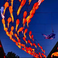 Giant Illuminated Koi Motif Light